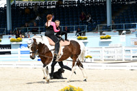 HSM_7962