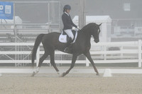 HSM_9732