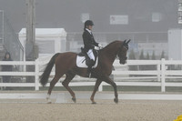 HSM_9648