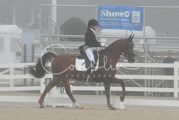 HSM_9661
