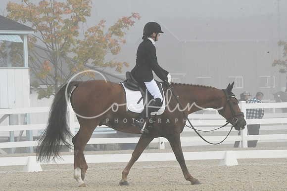 HSM_9708