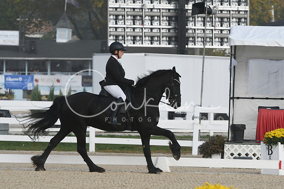 HSM_0008
