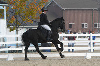 HSM_0010