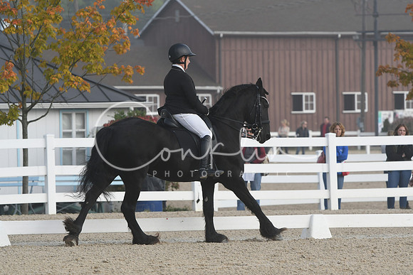 HSM_0011