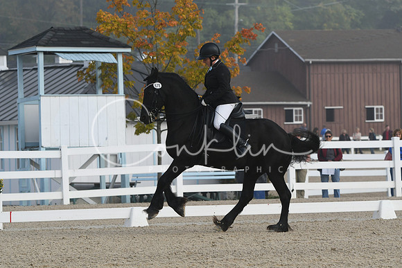 HSM_0012