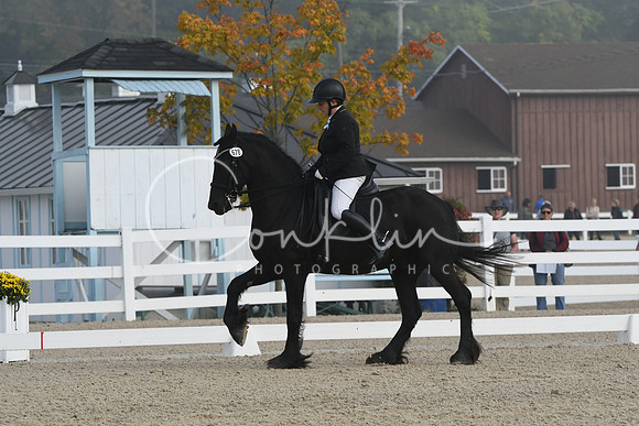 HSM_0013
