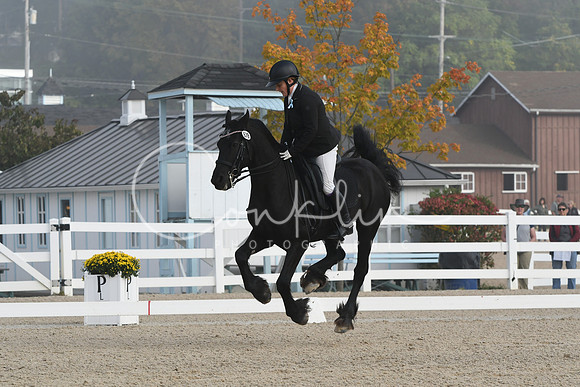 HSM_0021