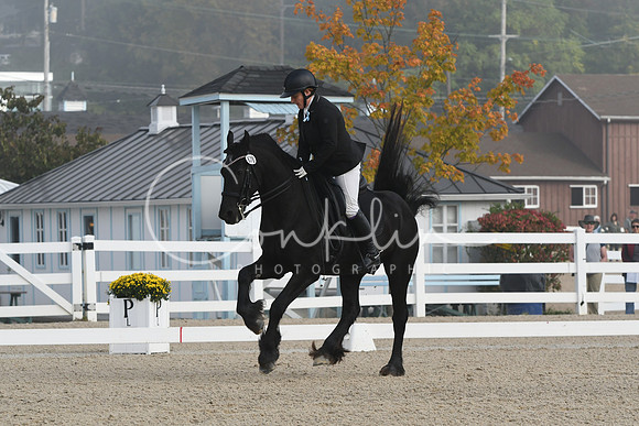 HSM_0022
