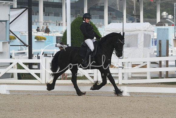 HSM_0028