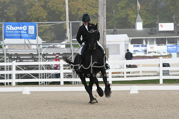 HSM_0031