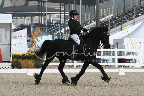 HSM_0041
