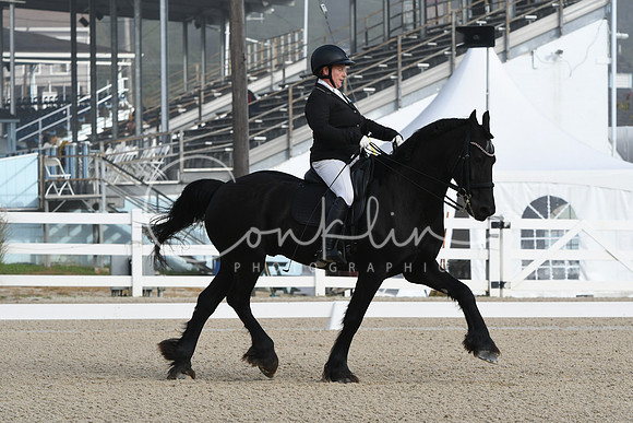 HSM_0043
