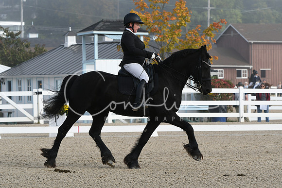 HSM_0044