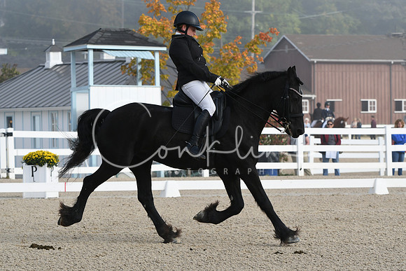 HSM_0045