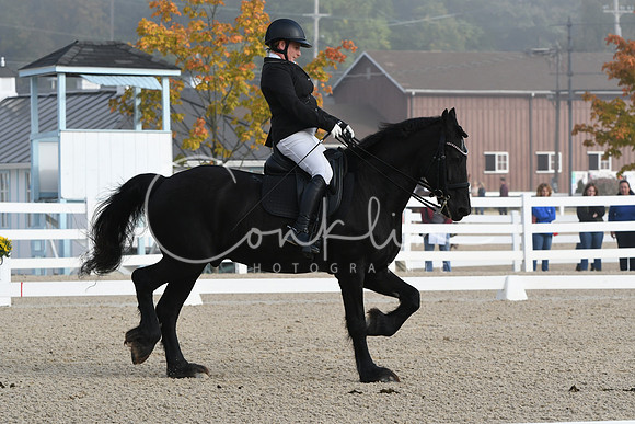 HSM_0046