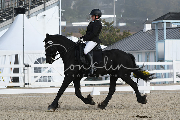 HSM_0048