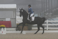 HSM_9588