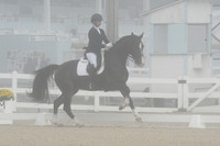 HSM_9516