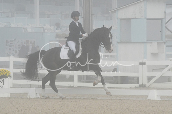 HSM_9516