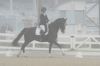 HSM_9517
