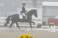 HSM_9519