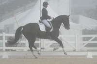 HSM_9520