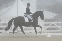 HSM_9521