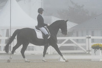 HSM_9522