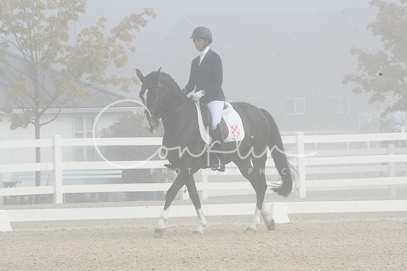 HSM_9531