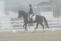 HSM_9523