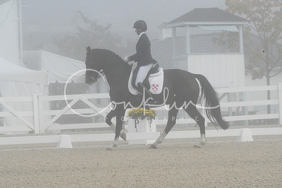 HSM_9523