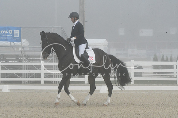 HSM_9538
