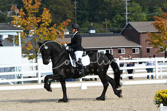 HSM_0639