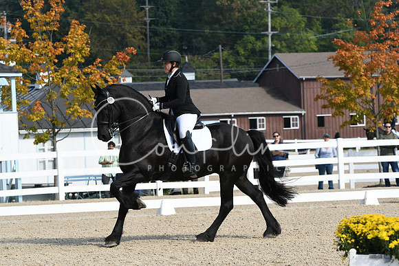 HSM_0638