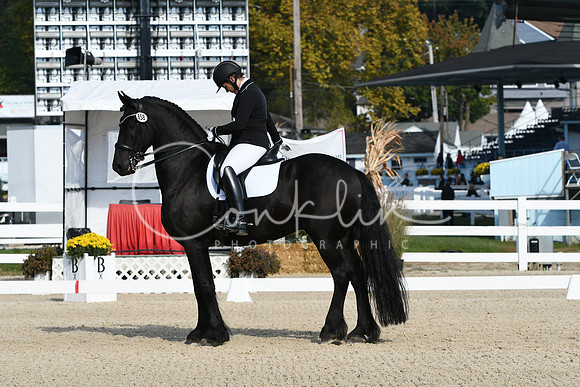 HSM_0640