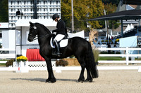 HSM_0641