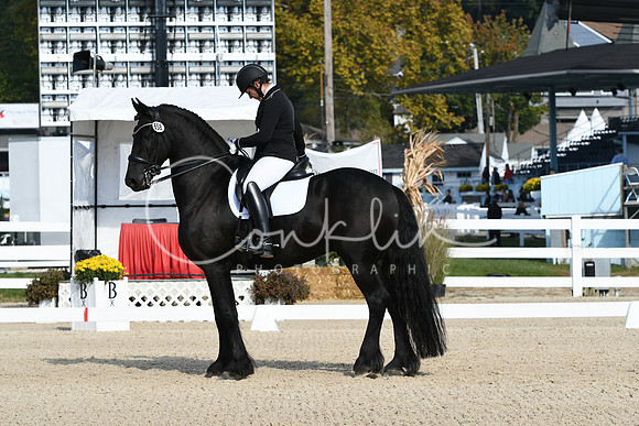 HSM_0641
