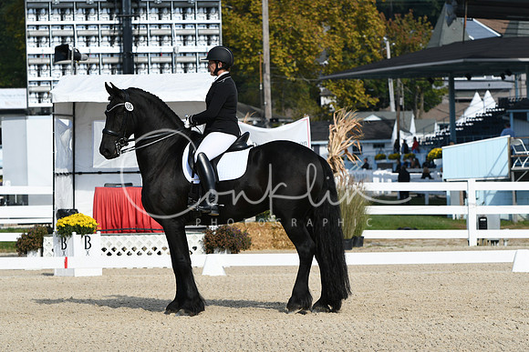 HSM_0642