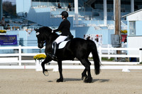 HSM_0643