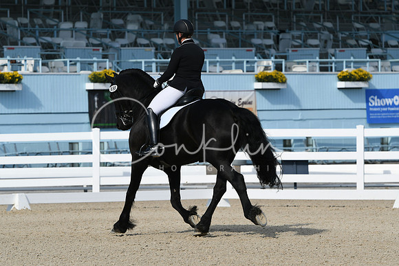 HSM_0646