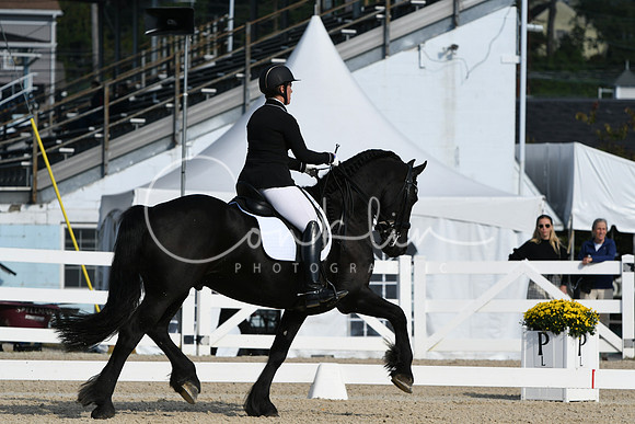 HSM_0653