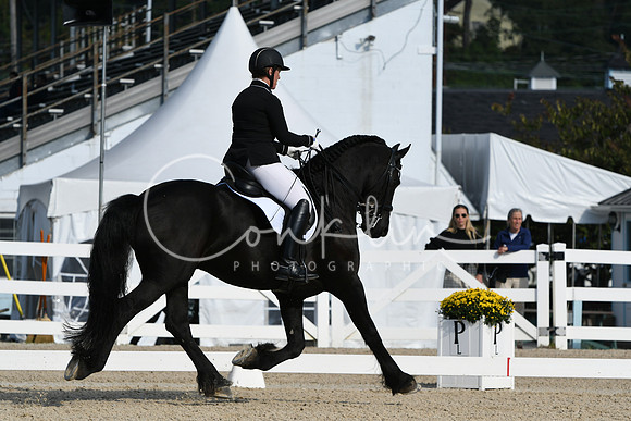 HSM_0654