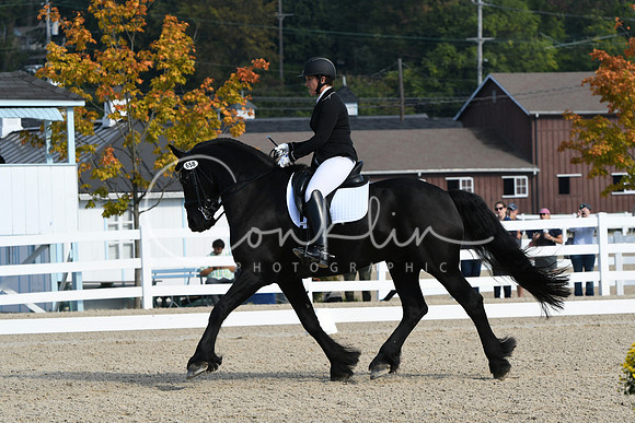 HSM_0656