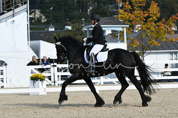 HSM_0658