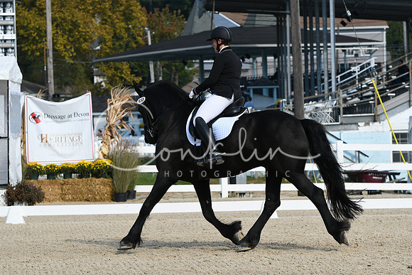 HSM_0662