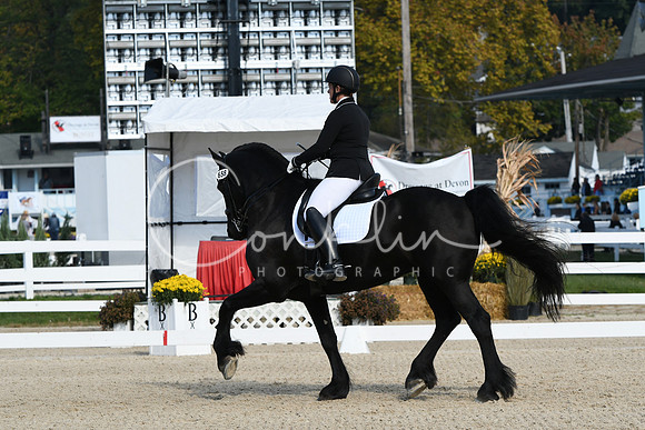 HSM_0664