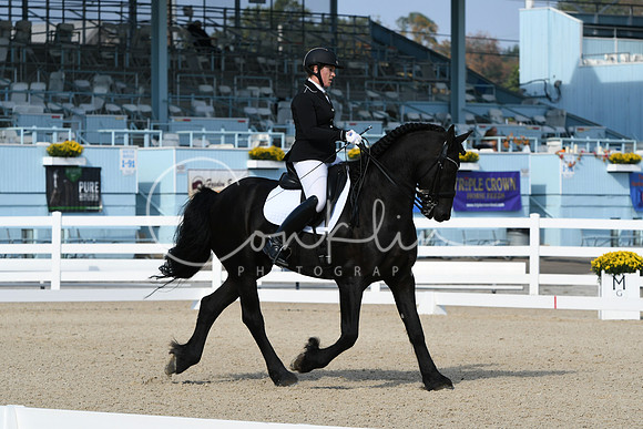 HSM_0667