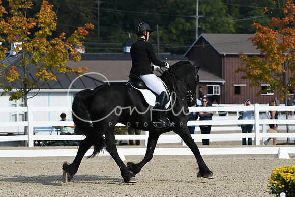 HSM_0678