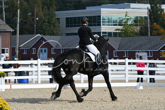 HSM_0681