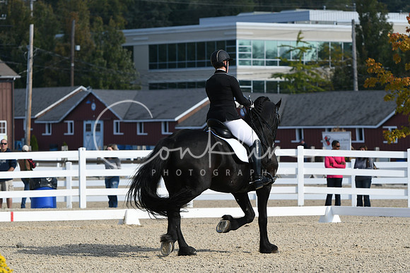 HSM_0682